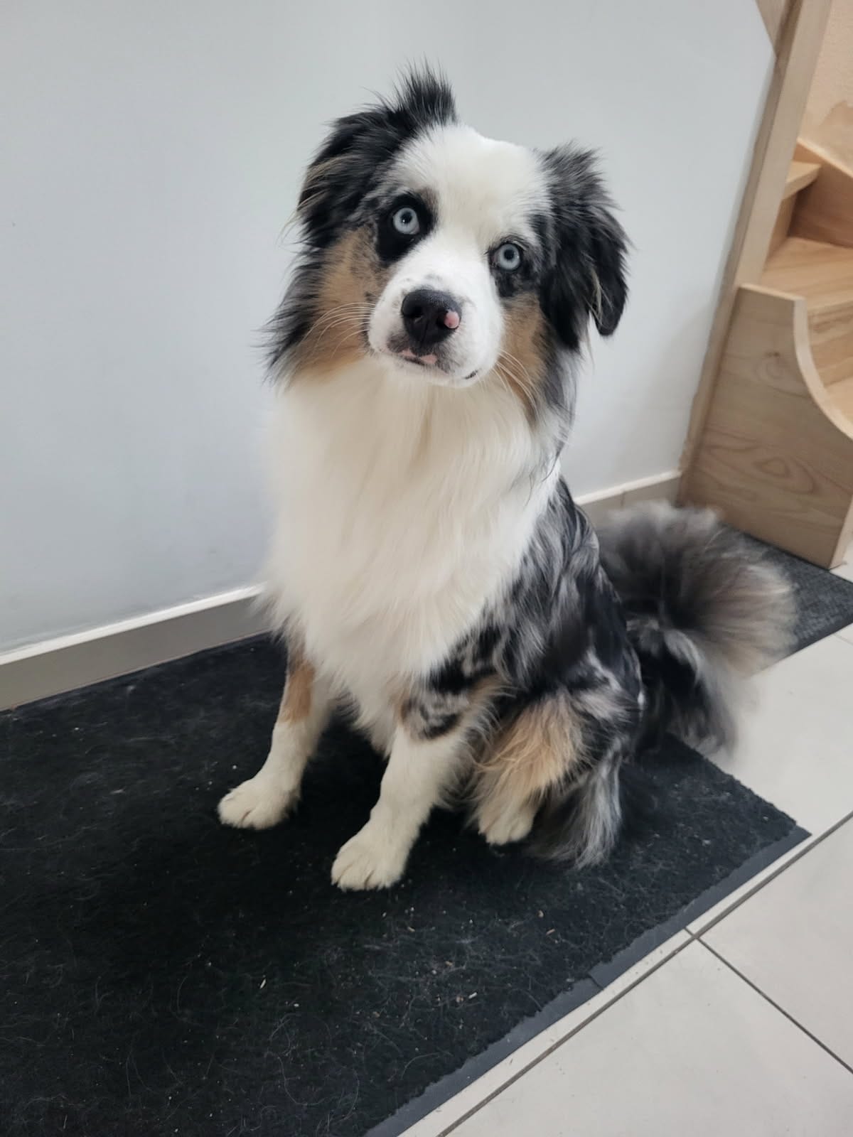 WhatsApp Image 2vztv026-02-20 at 09.43.35.jpeg